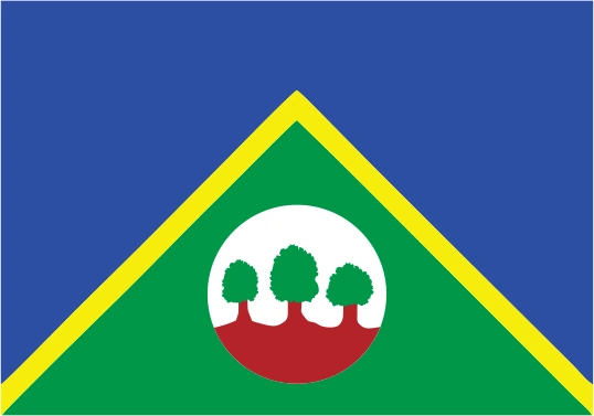 Bandeira de ALTA FLORESTA D'OESTE