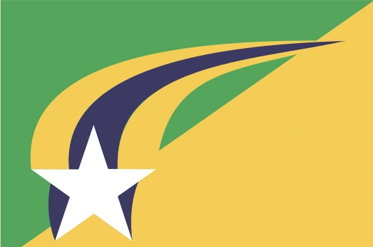 Bandeira de CASTANHEIRAS