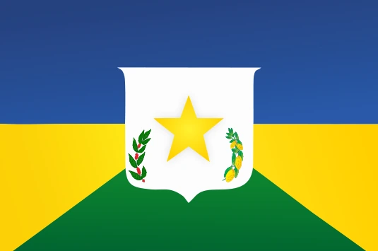 Bandeira de JARU