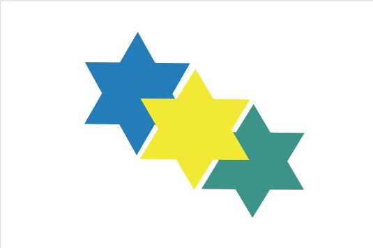 Bandeira de JI-PARANÁ