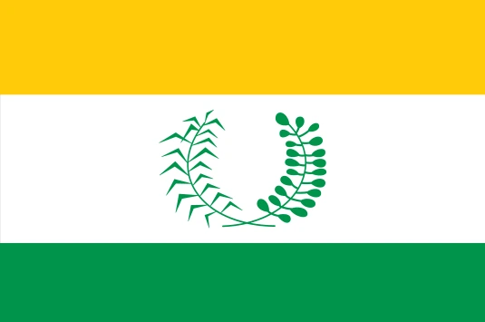 Bandeira de NOVA MAMORÉ