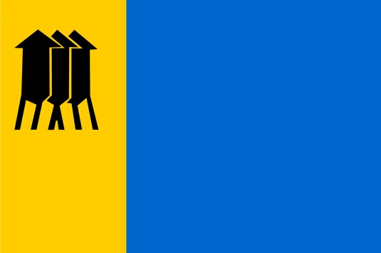 Bandeira de PORTO VELHO