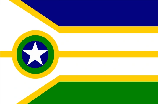 Bandeira de PRESIDENTE MÉDICI