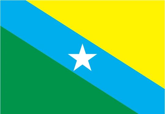 Bandeira de URUPÁ